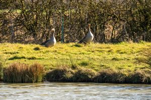 Canal Farm- click for photo gallery